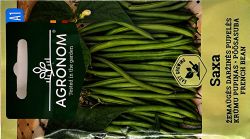 French Bean Dwarf Saxa Seed